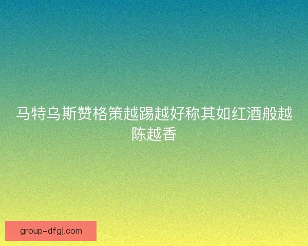 马特乌斯赞格策越踢越好称其如红酒般越陈越香 马特乌斯赞格策越踢越好称其如红酒般越陈越香